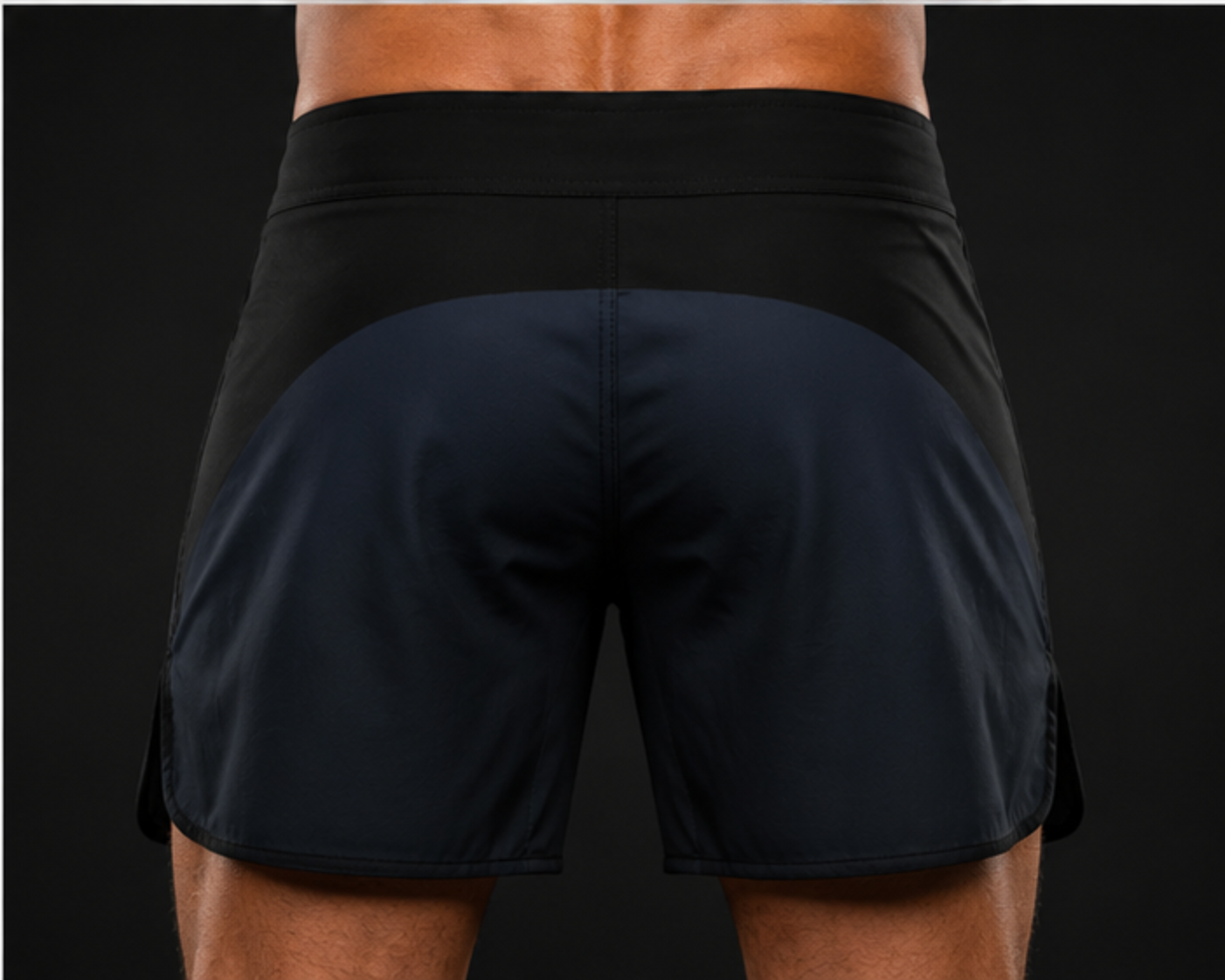 Lion Series Fight Shorts