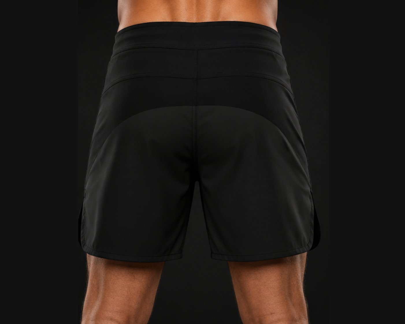 Lion Series Fight Shorts