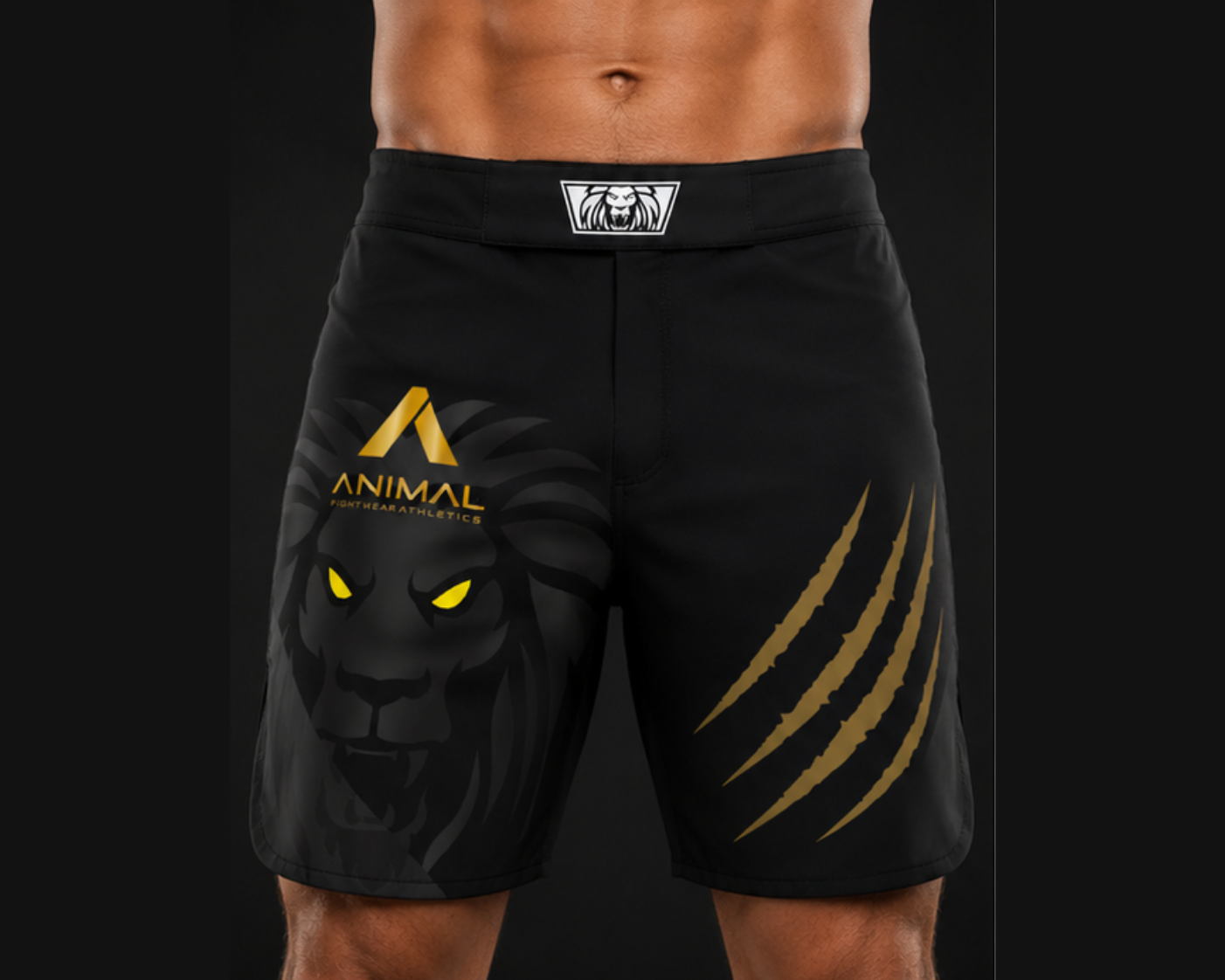 Lion Series Fight Shorts
