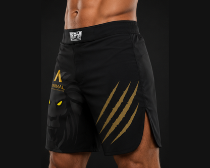 Lion Series Fight Shorts