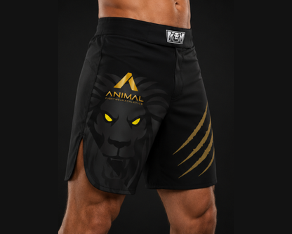 Lion Series Fight Shorts