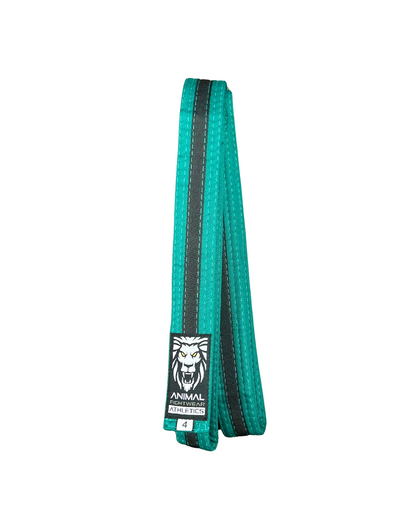 Kids Martial Arts & BJJ Belts – Youth Collection