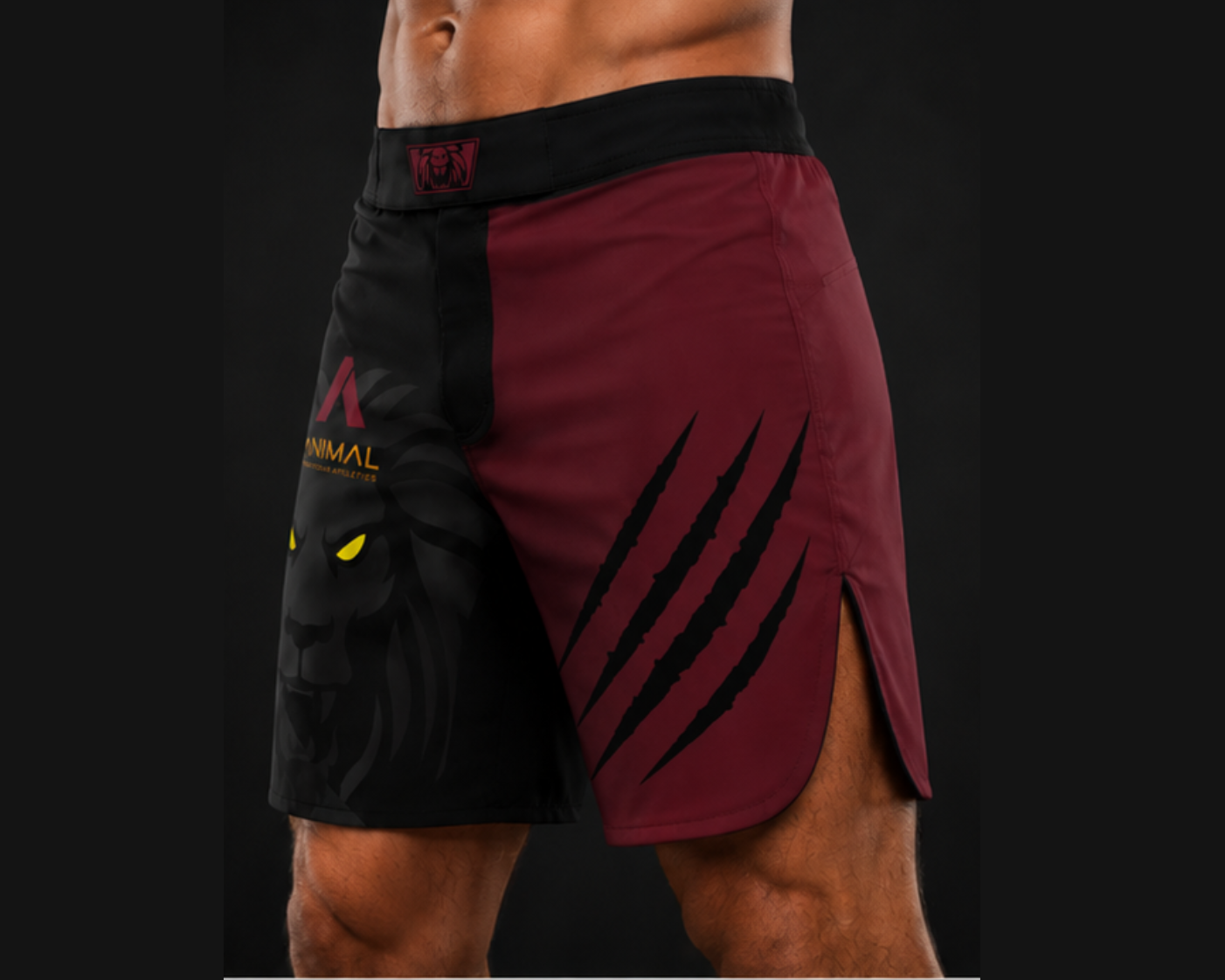 Lion Series Fight Shorts