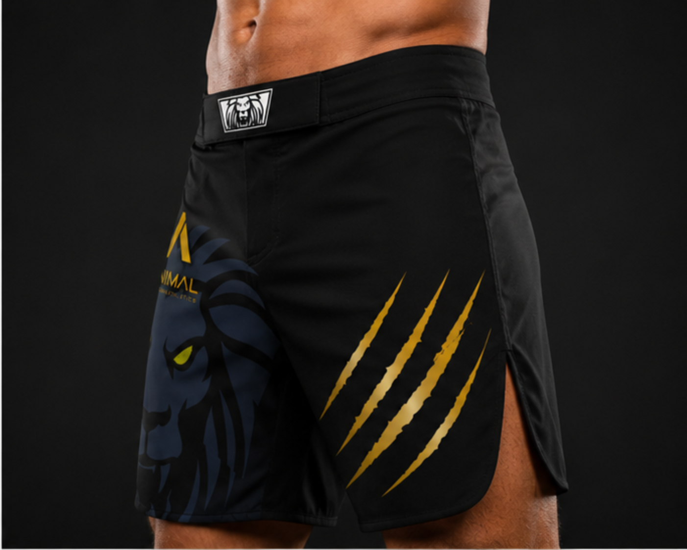 Lion Series Fight Shorts